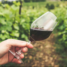 TUES 23rd JUNE 2026 MasterClass Beaujolais Wine and cheese 6.30pm to 8pm